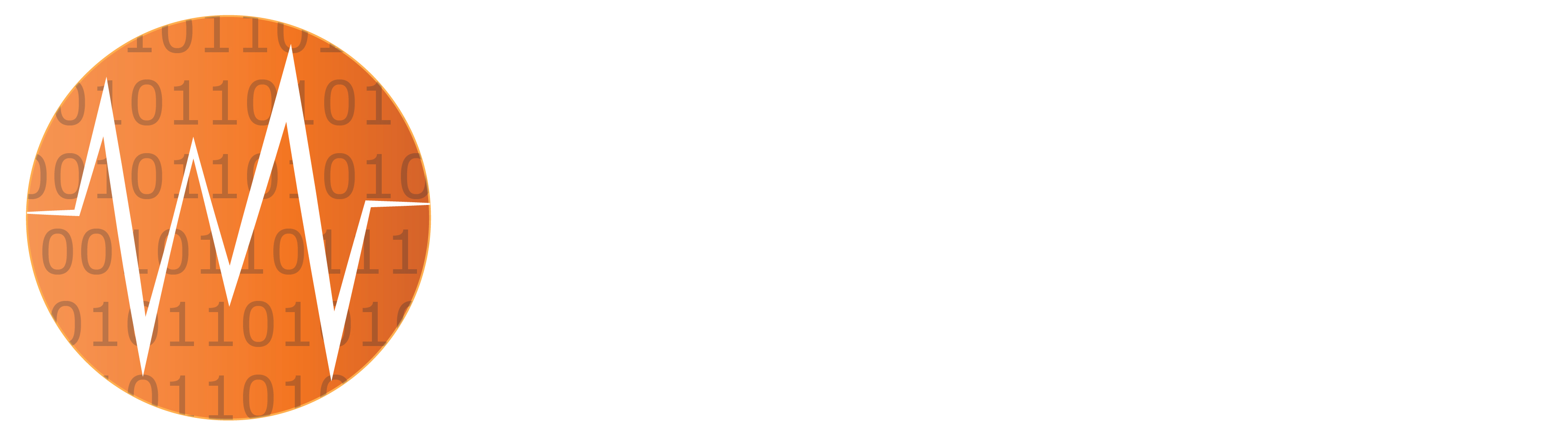 Fairsite Logo with Tag